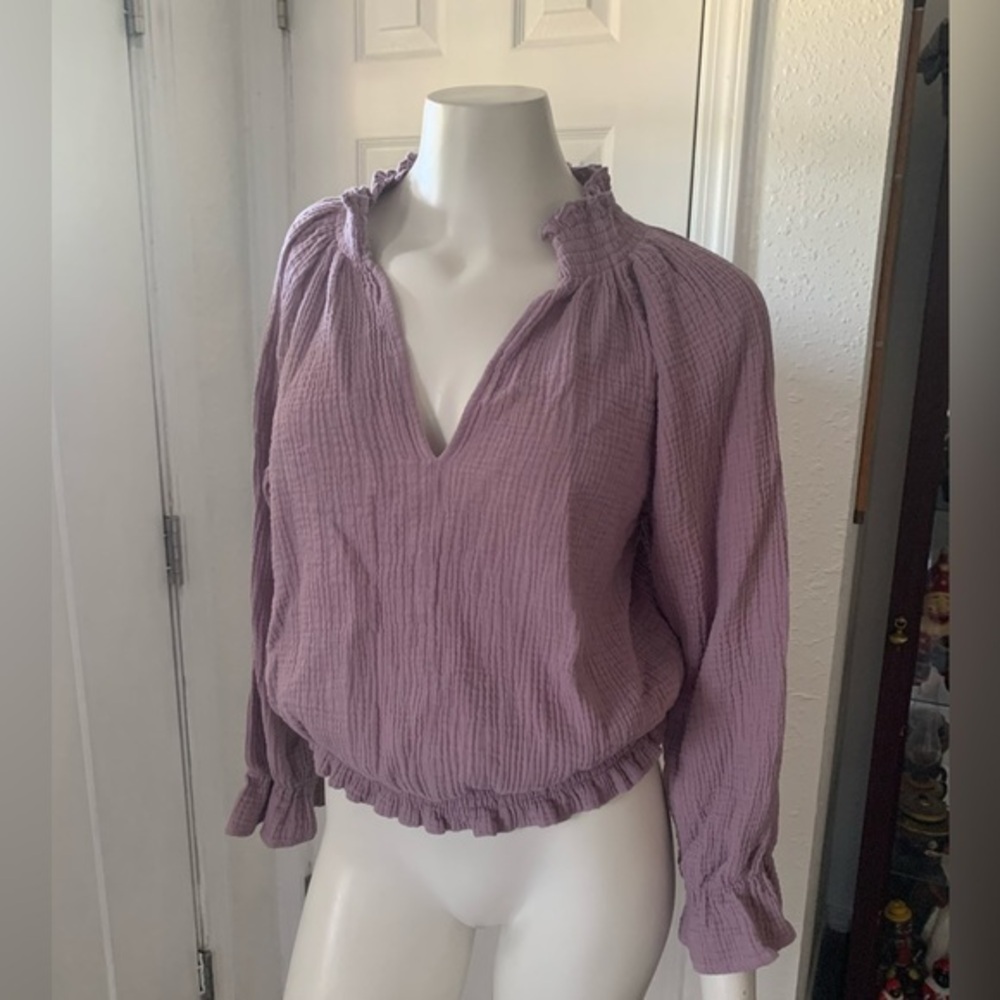 The Impeccable Pig top